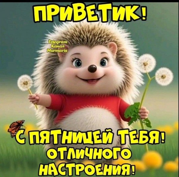 B740a6264c125a0072cb6036c7246b93