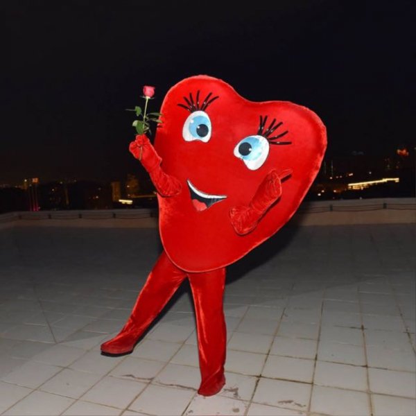 70 788 77 66 20160726 190003