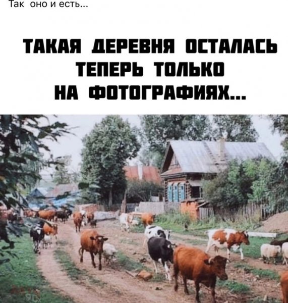 fbdd0af8639ac0370a342b5449ff0