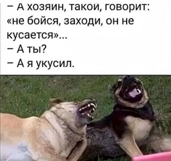 Fgbw6wFRFXVwVA9ArnskbZC8qshs LKIWh1VLbV9PTYie