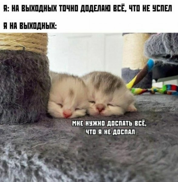 Выходные