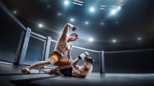 Istockphoto-1329587619-612x612