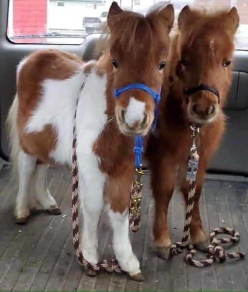 FB IMG 1620641998231