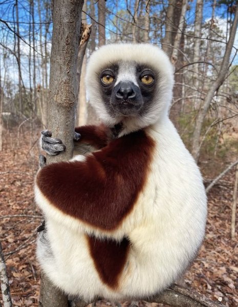 Ab9a40f939fd293a74214c93472153db