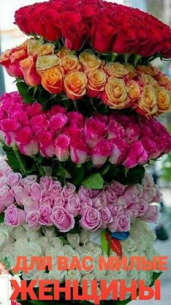 FB IMG 1610970161598