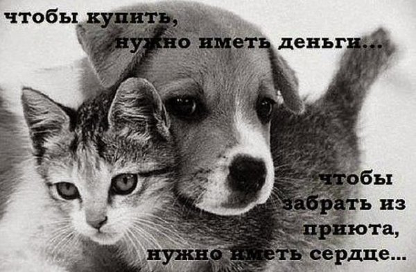 image 133
