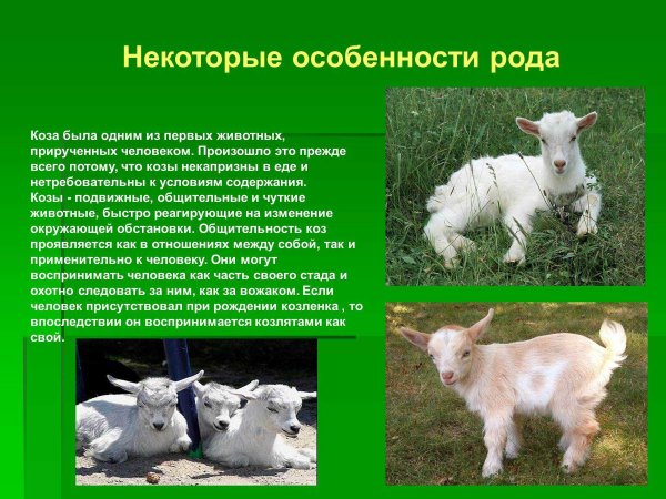 Это интересно