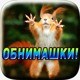 getImage(176)
