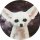 BobbyCarrot-