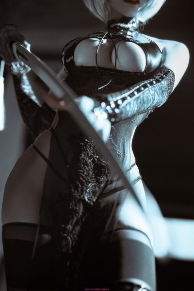 XiaXiaoqui-2B(YoRHa)-NieR-Automata-Nier-(series)-6904170