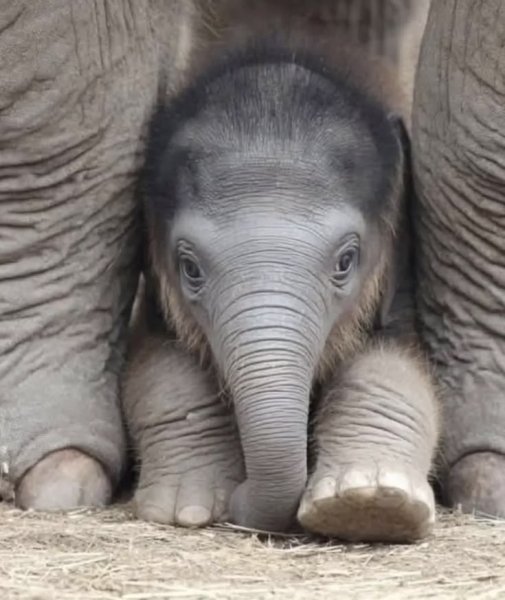 4e256963631b3d300546e5504bb77b48