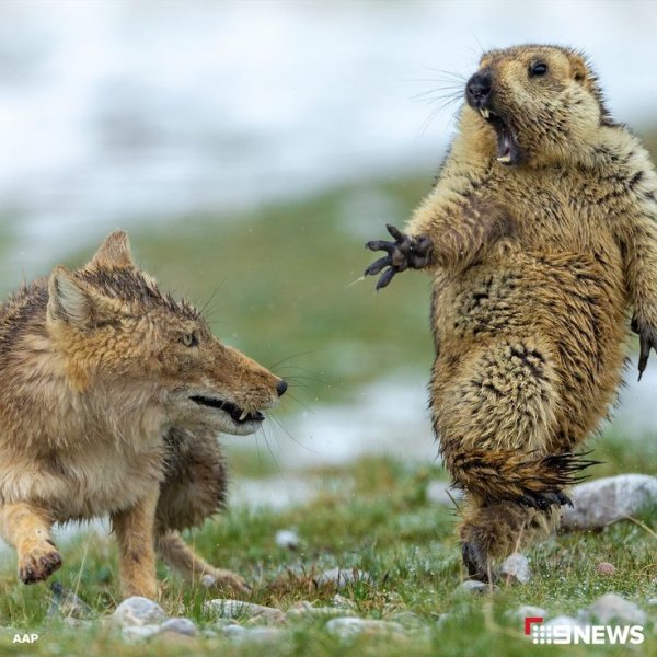 9e7698bdf1ecb3a6603b8f3c17a37eda