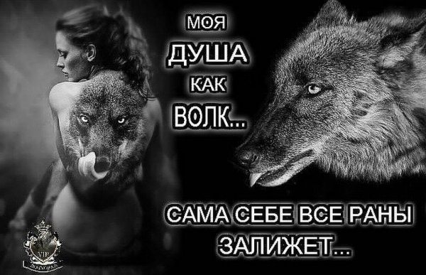 IMG 20160909 143225 0