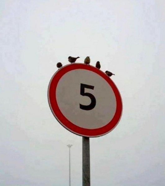 6