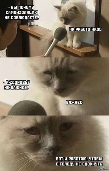 ))