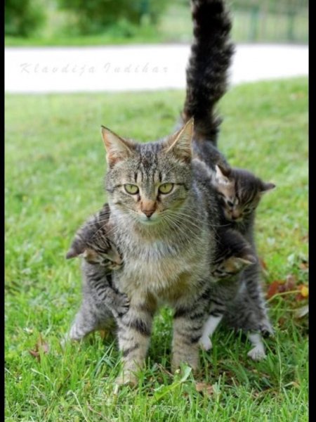 IMG 20150819 203624 12