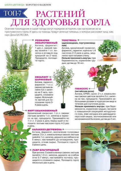 Коротко о важном