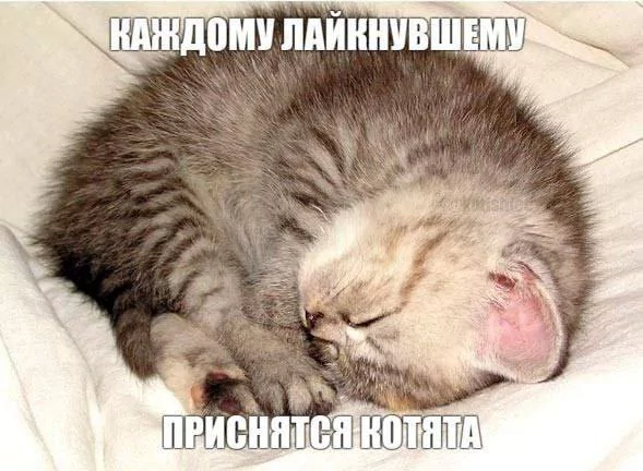 picture_413468403