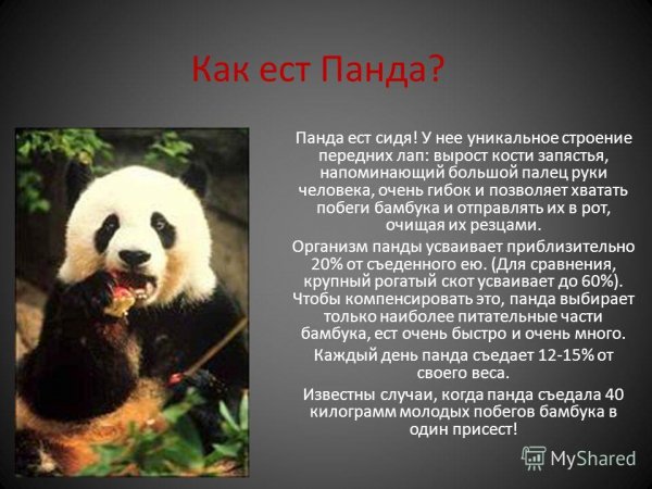 Интересно