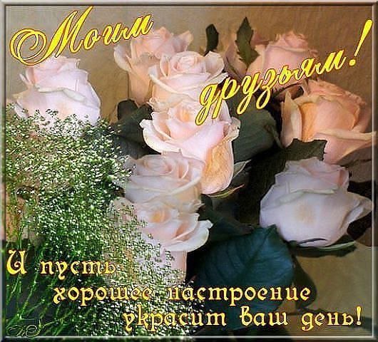 Моим друзьям!