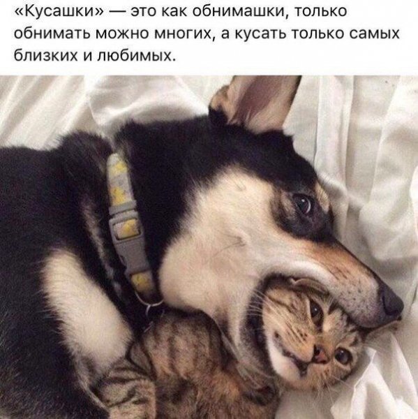 F99ba4bda2fc6033f08a083f73c94e57