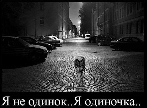 Волк