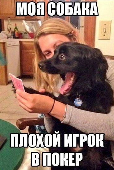 Да! ))