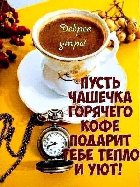 Друг мой!