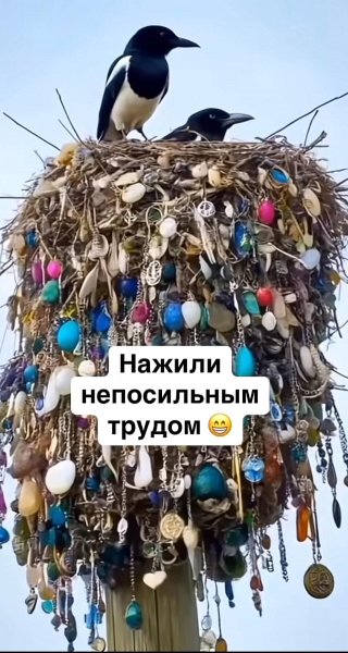 IMG 20250321 201831