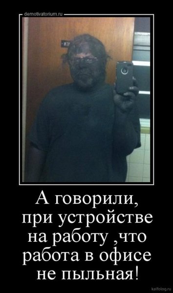 picture_386405397