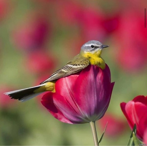 33e1da1cd62f8d34269bd97f1e7f5838