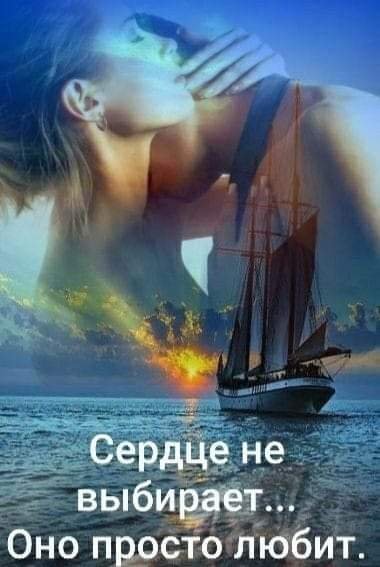 FB IMG 1706290748096