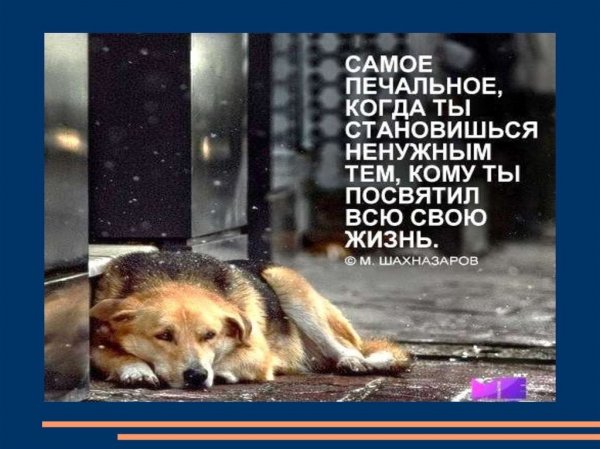 Самое печальное...