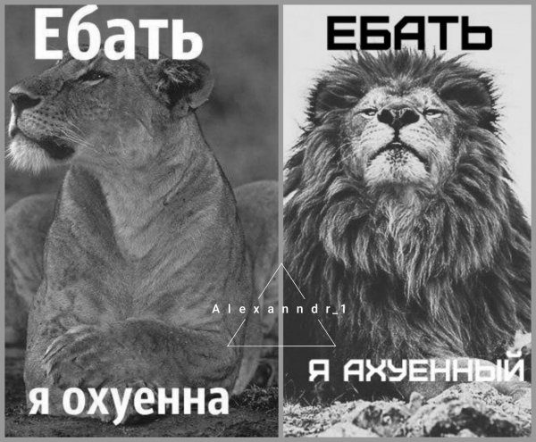 2gWXAkUk78Y