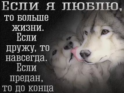 picture_215816257