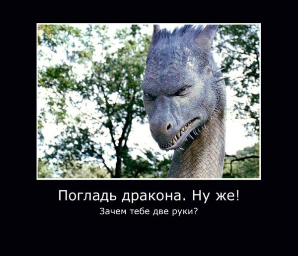 eragon i sapfira