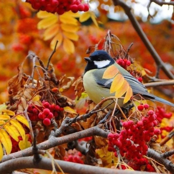 32dc966fff97e53162700b961a6fe807