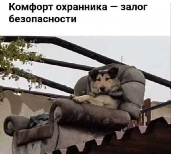 Начальника