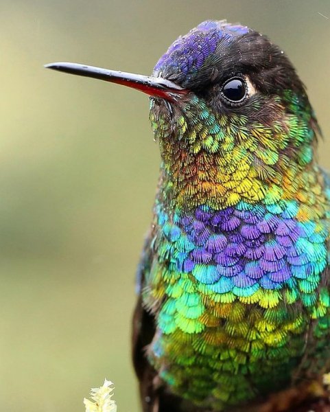 f2ca0a3b29ff99566e0d820395318