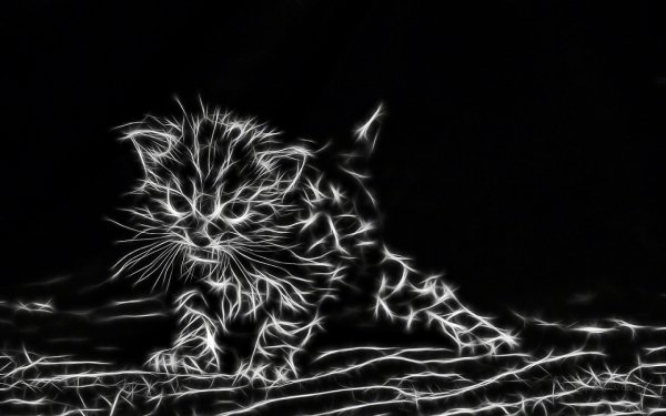 Кошки-сотканные-из-фантазий