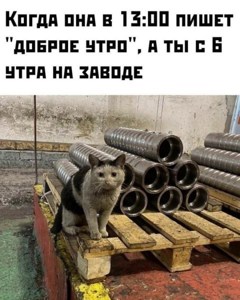 Когда проснёшься тогда и утро)