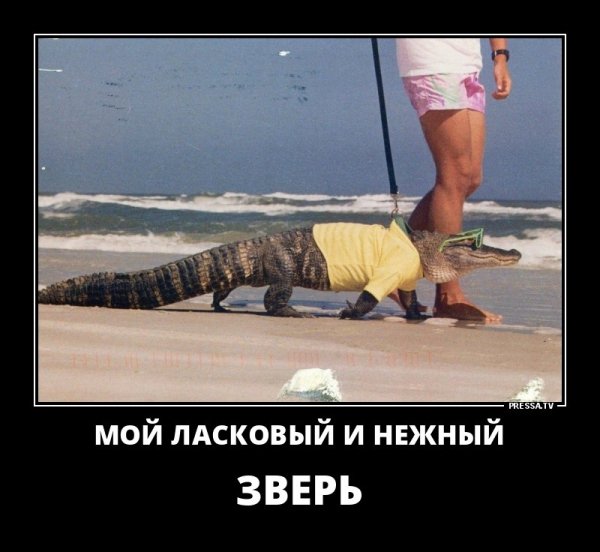 Мой ласковый и нежный