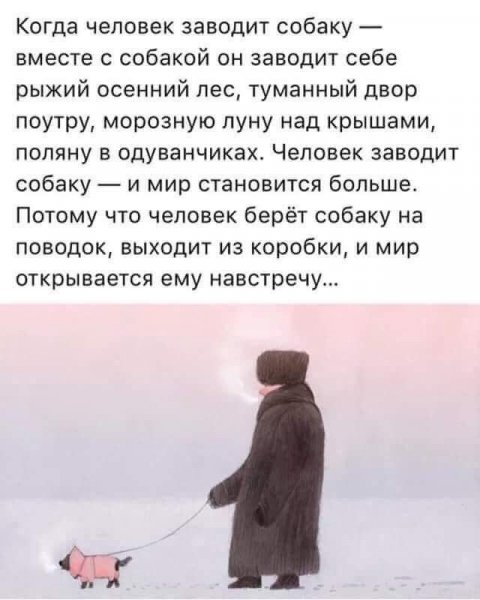 Так и есть!