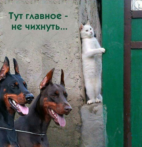 image (7)