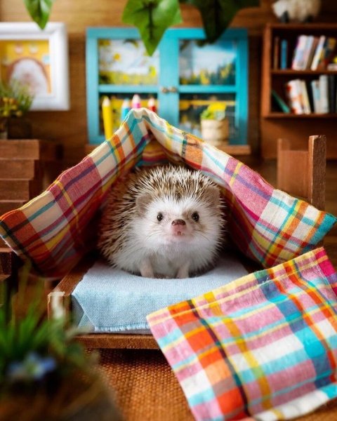 16dd5c65cb967b89cb64406f76dd31e3