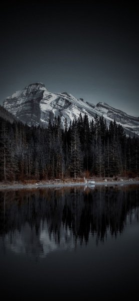 Арт Природа