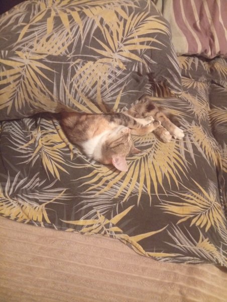 ЧП на производстве. Придавило.