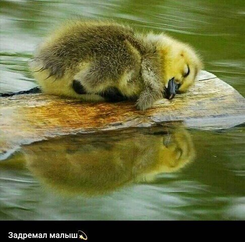 image (3) (8)