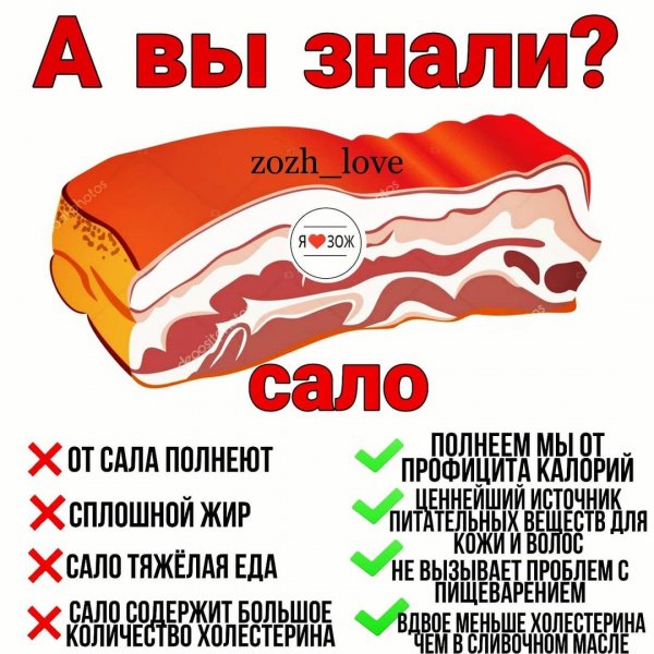 zozh love CKvglNZLsFo