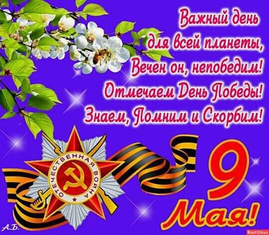 FB IMG 15573831606744350